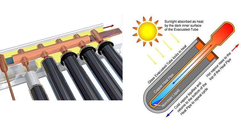 Solar Vacuum Tube Collector Heating Hot Water